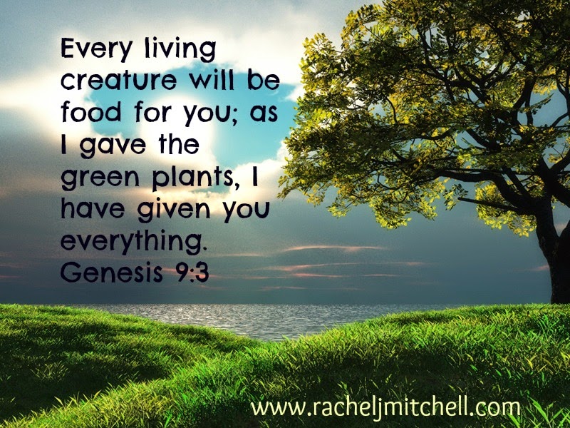 genesis-9-3 - Rachel J Mitchell